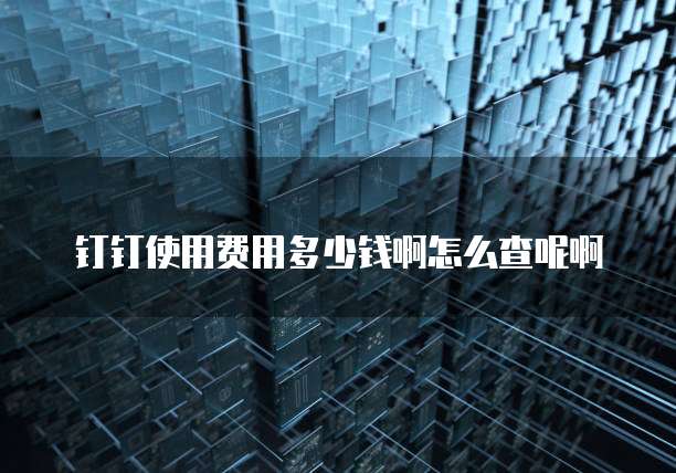 钉钉使用费用多少钱啊怎么查呢啊