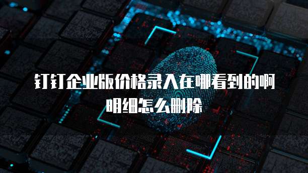 钉钉企业版价格录入在哪看到的啊明细怎么删除