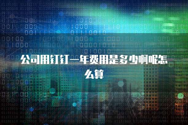 公司用钉钉一年费用是多少啊呢怎么算