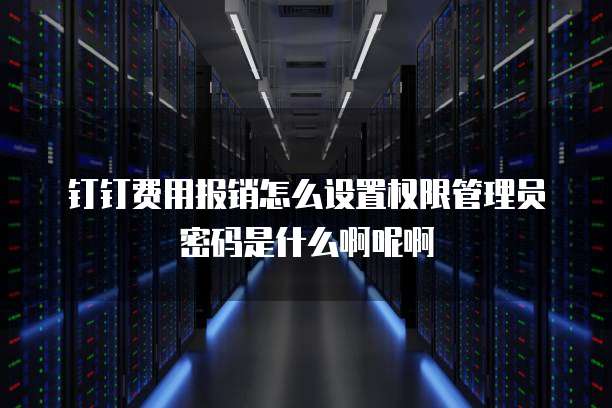 钉钉费用报销怎么设置权限管理员密码是什么啊呢啊