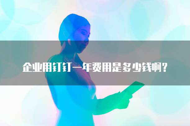 企业用钉钉一年费用是多少钱啊?