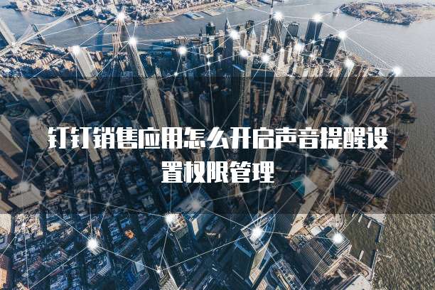 钉钉销售应用怎么开启声音提醒设置权限管理