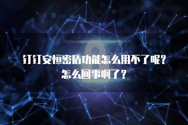 钉钉安恒密盾功能怎么用不了呢?怎么回事啊了?