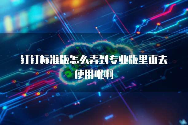 钉钉标准版怎么弄到专业版里面去使用呢啊