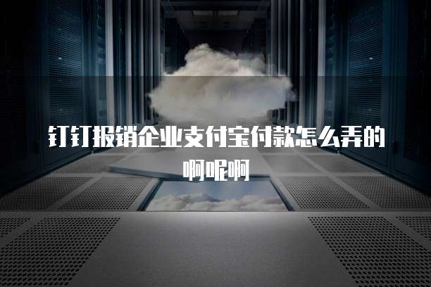 钉钉报销企业支付宝付款怎么弄的啊呢啊