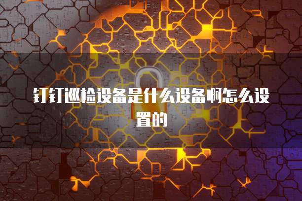 钉钉巡检设备是什么设备啊怎么设置的