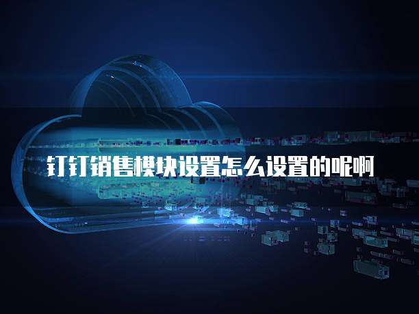 钉钉销售模块设置怎么设置的呢啊