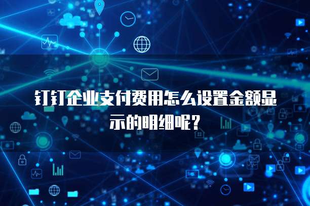 钉钉企业支付费用怎么设置金额显示的明细呢?
