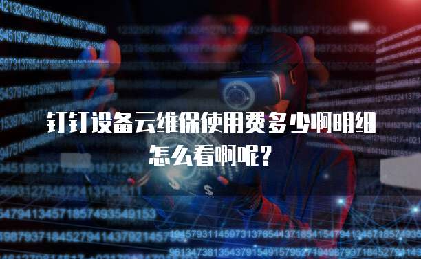 钉钉设备云维保使用费多少啊明细怎么看啊呢?