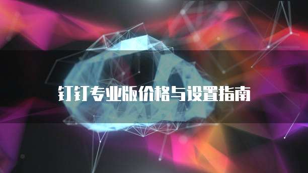 钉钉专业版价格与设置指南