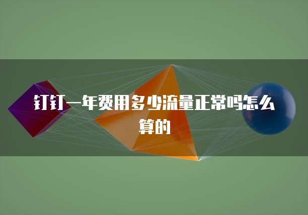钉钉一年费用多少流量正常吗怎么算的