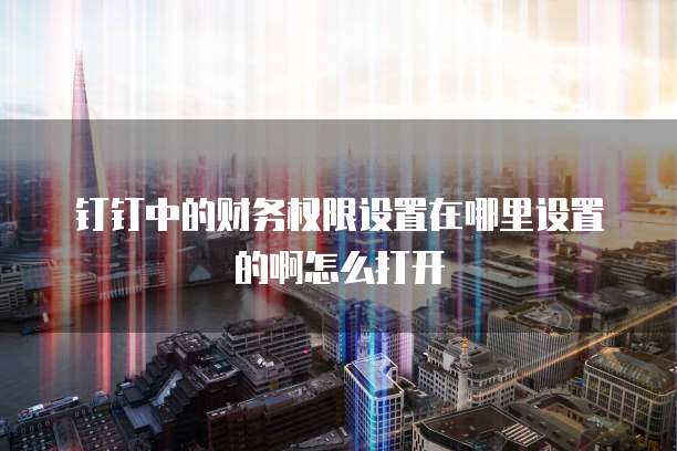 钉钉中的财务权限设置在哪里设置的啊怎么打开