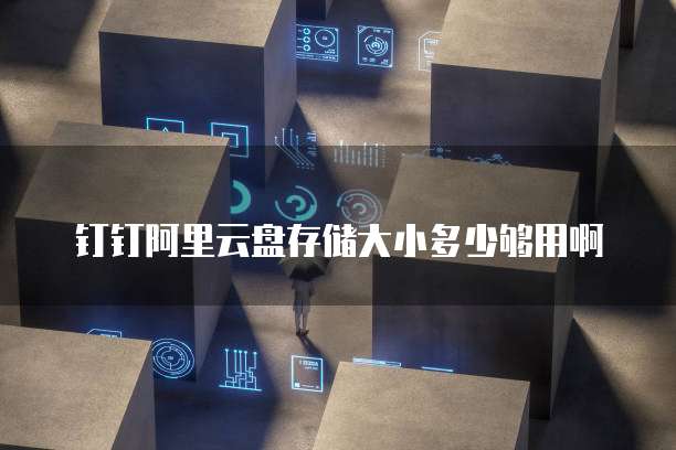 钉钉阿里云盘存储大小多少够用啊