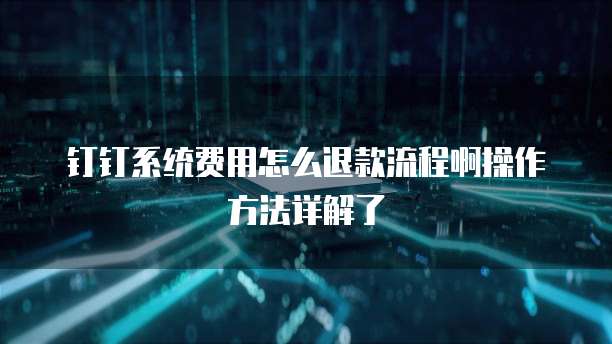 钉钉系统费用怎么退款流程啊操作方法详解了
