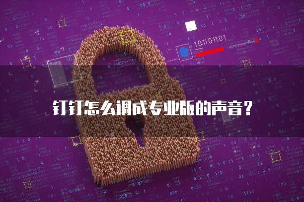 钉钉怎么调成专业版的声音?