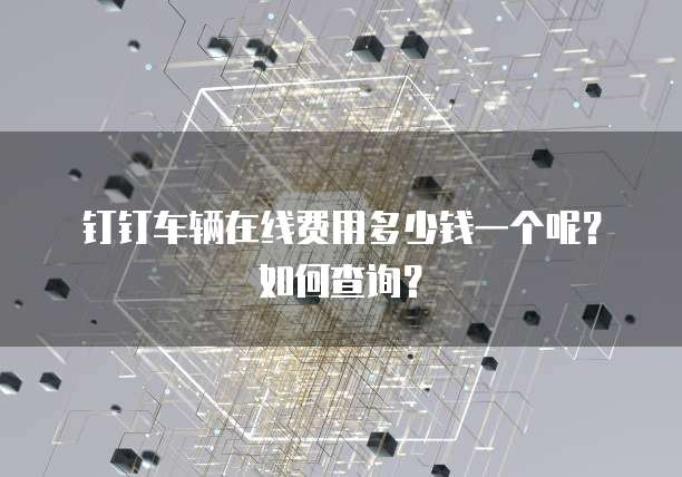 钉钉车辆在线费用多少钱一个呢?如何查询?