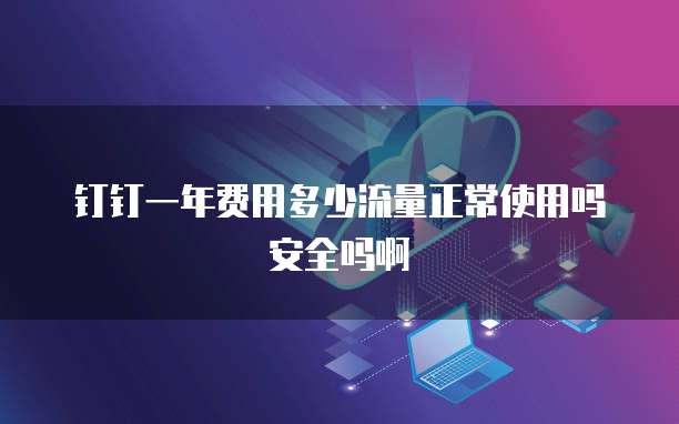 钉钉一年费用多少流量正常使用吗安全吗啊