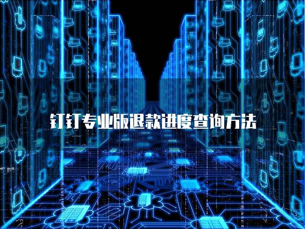 钉钉专业版退款进度查询方法