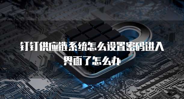 钉钉供应链系统怎么设置密码进入界面了怎么办