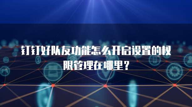 钉钉好队友功能怎么开启设置的权限管理在哪里?
