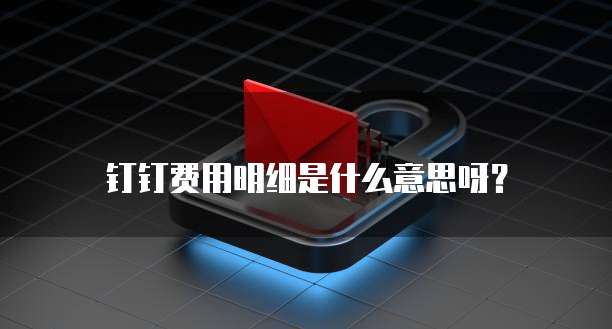 钉钉费用明细是什么意思呀?