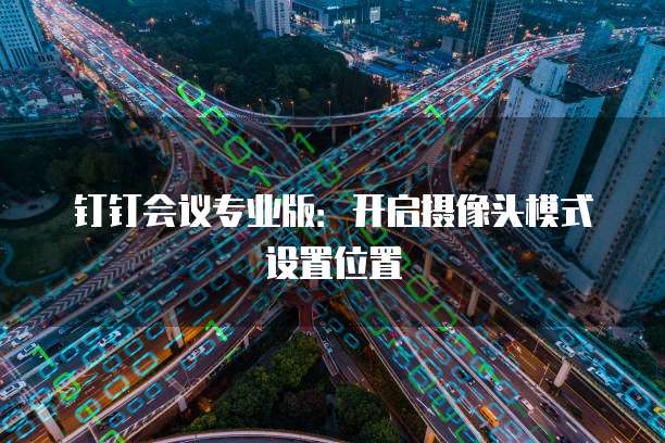 钉钉会议专业版:开启摄像头模式设置位置
