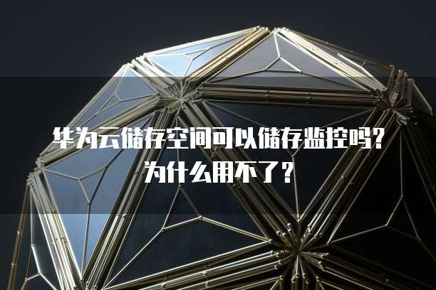 钉钉专业版有啥功能