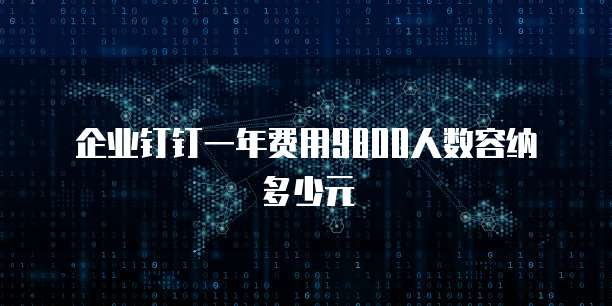 企业钉钉一年费用9800人数容纳多少元