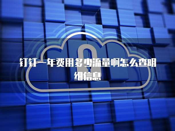 钉钉一年费用多少流量啊怎么查明细信息