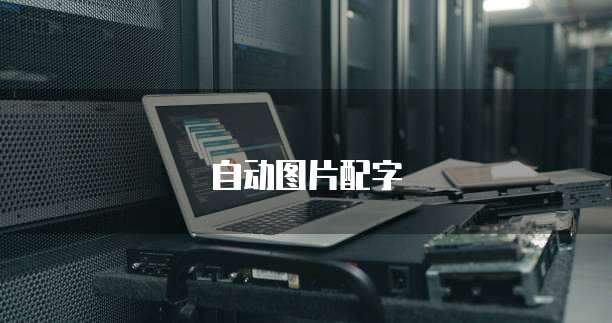 钉钉付款申请添加不了发票怎么回事