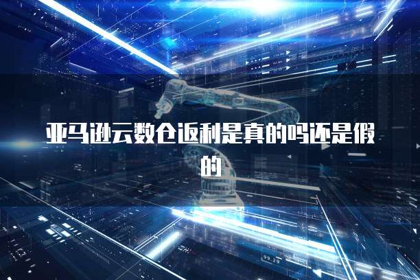 钉钉蓝莓维保保障钉钉设备的正常运行