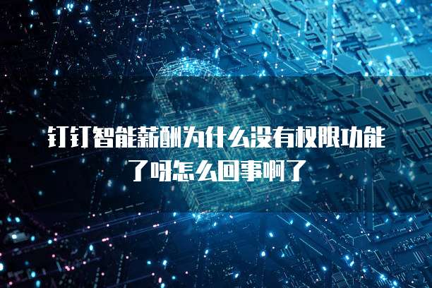 钉钉智能薪酬为什么没有权限功能了呀怎么回事啊了