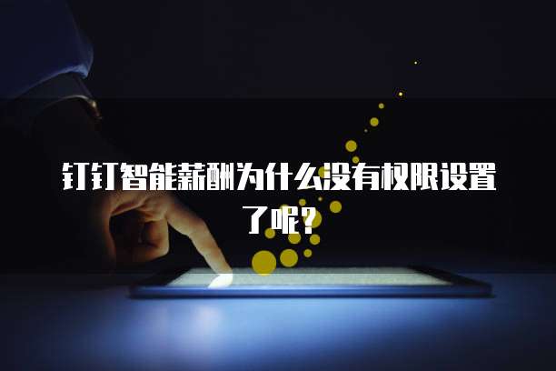 钉钉智能薪酬为什么没有权限设置了呢?