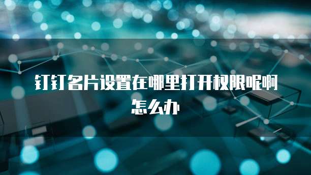钉钉名片设置在哪里打开权限呢啊怎么办