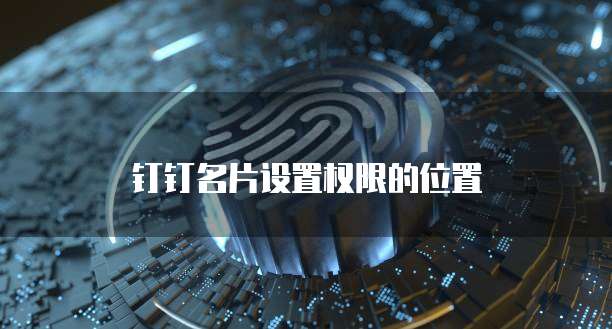 钉钉名片设置权限的位置