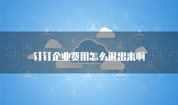 钉钉企业费用怎么退出来啊
