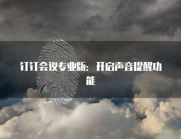 钉钉会议专业版:开启声音提醒功能