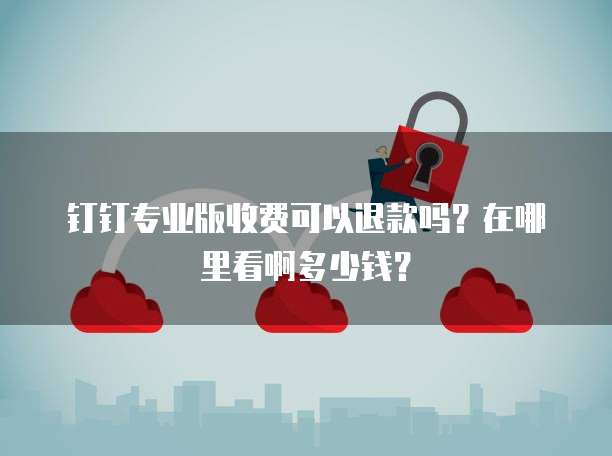 钉钉专业版收费可以退款吗?在哪里看啊多少钱?