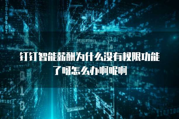 钉钉智能薪酬为什么没有权限功能了呀怎么办啊呢啊