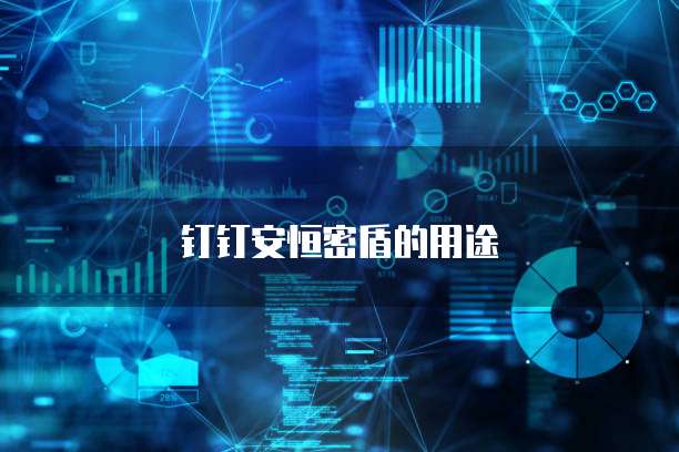 钉钉安恒密盾的用途