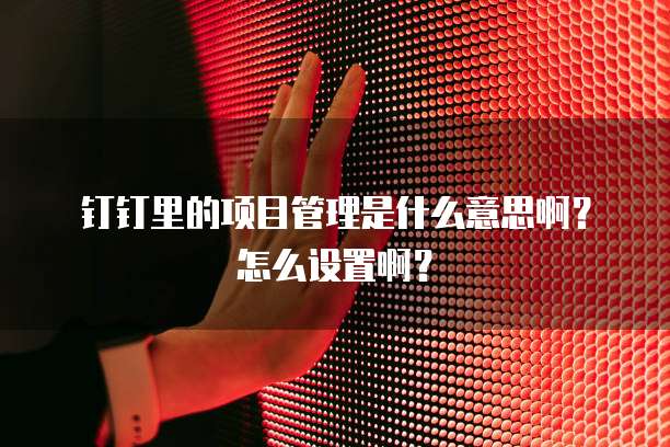 钉钉里的项目管理是什么意思啊?怎么设置啊?