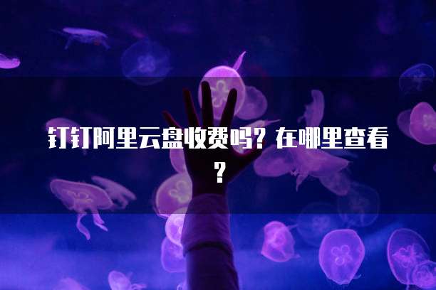 钉钉阿里云盘收费吗?在哪里查看?