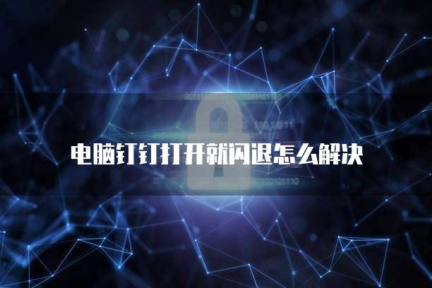 钉钉专业版的使用价值:如何设置密码保护