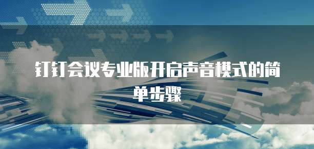 钉钉会议专业版开启声音模式的简单步骤