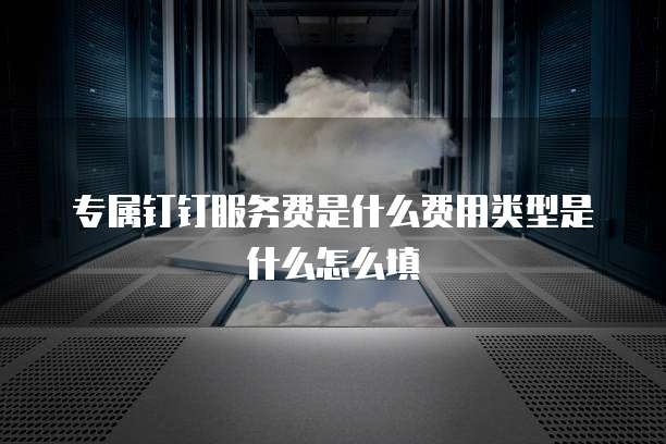 专属钉钉服务费是什么费用类型是什么怎么填