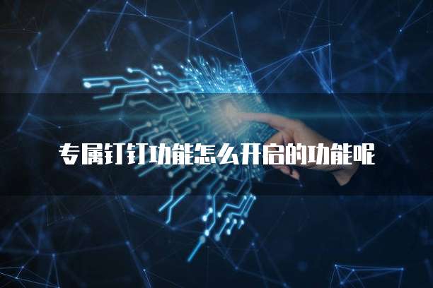 专属钉钉功能怎么开启的功能呢