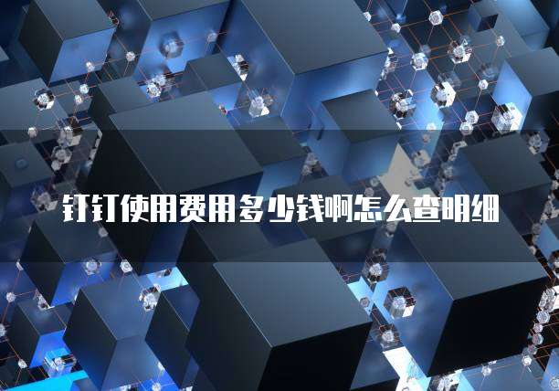 钉钉使用费用多少钱啊怎么查明细
