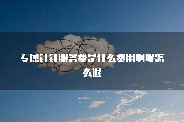 专属钉钉服务费是什么费用啊呢怎么退