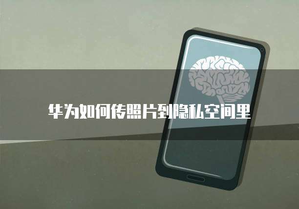 钉钉准版和专业版价格差多少钱?解析钉钉的升级版本及其价格差异