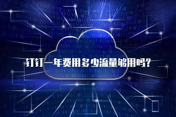 钉钉一年费用多少流量够用吗？